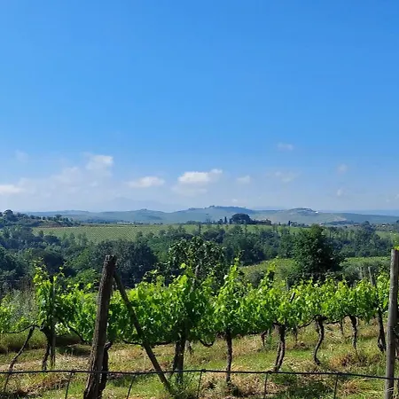 Apartment Chianti - Lovely With Parking & Garden!